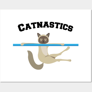 Catnastics blue bar Posters and Art